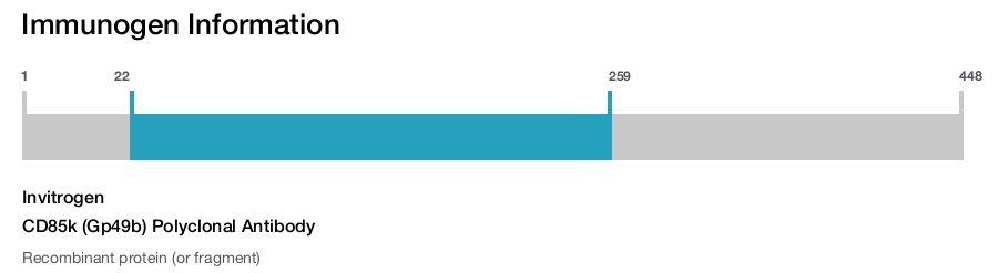 CD85k (Gp49b) Polyclonal Antibody