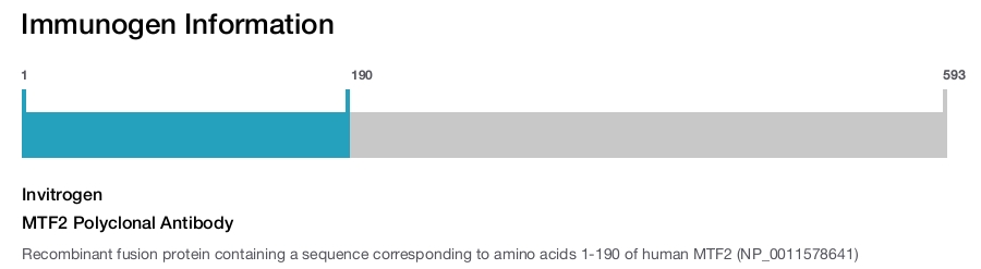 MTF2 Polyclonal Antibody