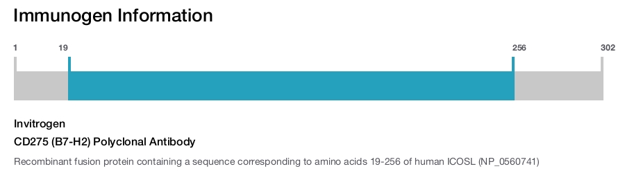 CD275 (B7-H2) Polyclonal Antibody