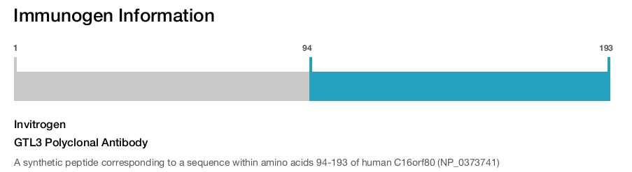 GTL3 Polyclonal Antibody