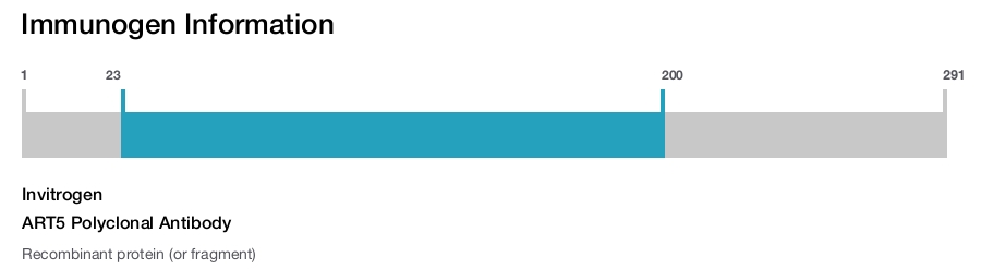 ART5 Polyclonal Antibody