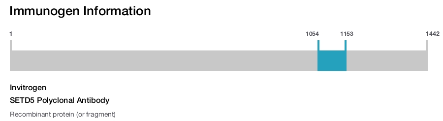 SETD5 Polyclonal Antibody