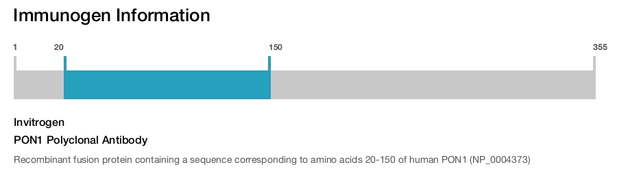 PON1 Polyclonal Antibody