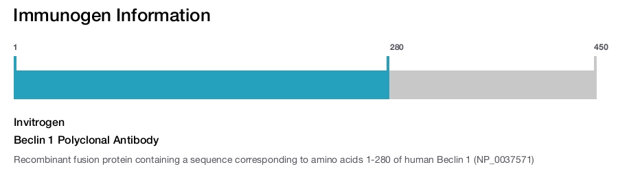 Beclin 1 Polyclonal Antibody
