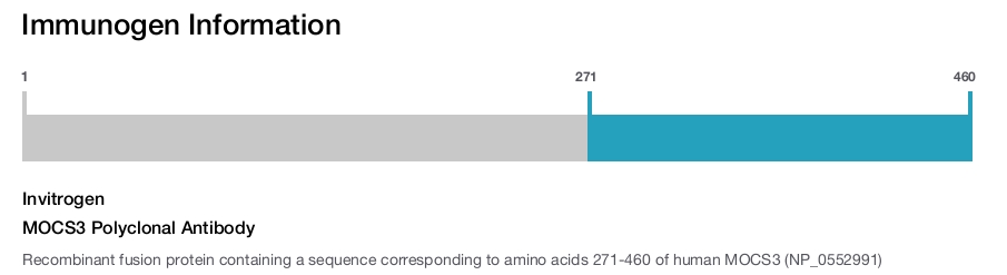 MOCS3 Polyclonal Antibody