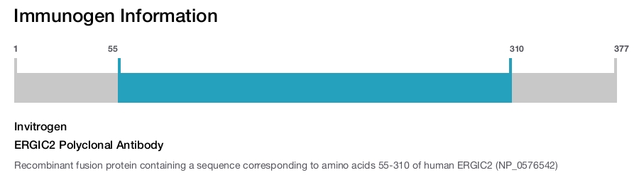ERGIC2 Polyclonal Antibody