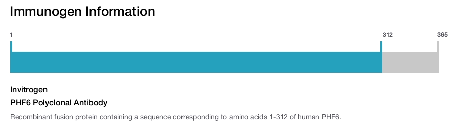 PHF6 Polyclonal Antibody