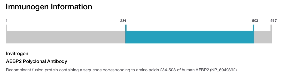 AEBP2 Polyclonal Antibody
