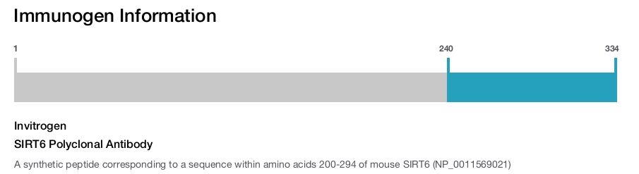 SIRT6 Polyclonal Antibody