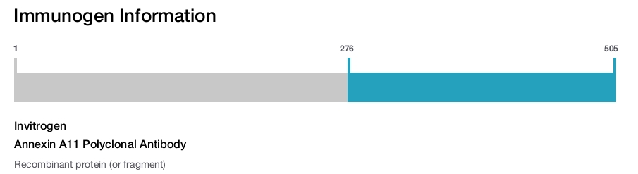 Annexin A11 Polyclonal Antibody