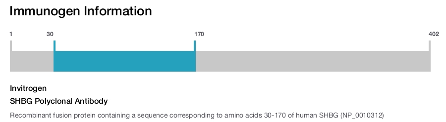 SHBG Polyclonal Antibody