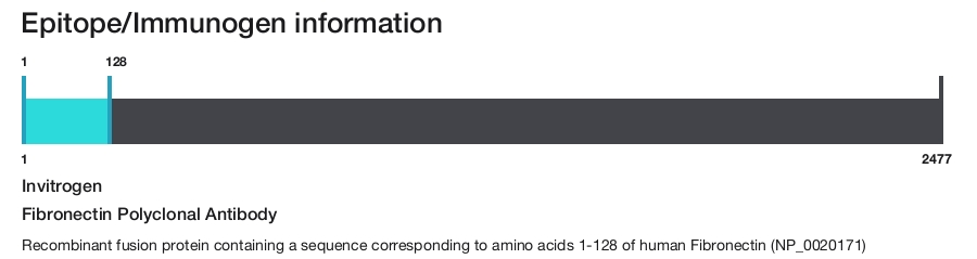 Fibronectin Polyclonal Antibody