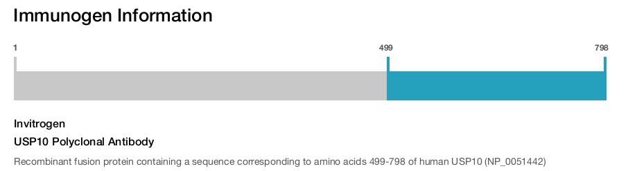 USP10 Polyclonal Antibody