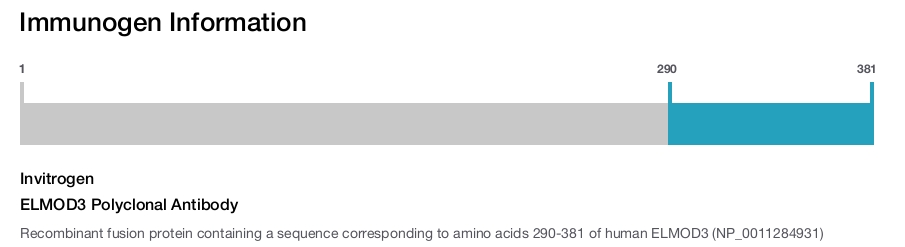 ELMOD3 Polyclonal Antibody