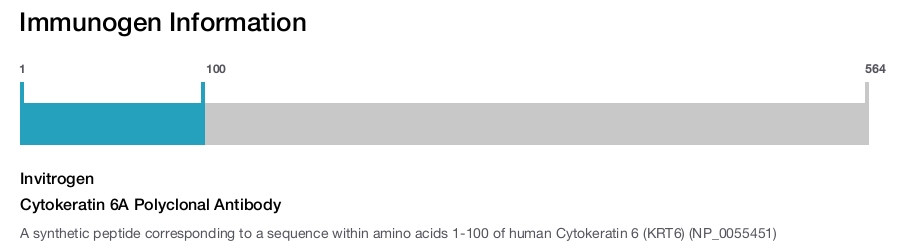 Cytokeratin 6A Polyclonal Antibody
