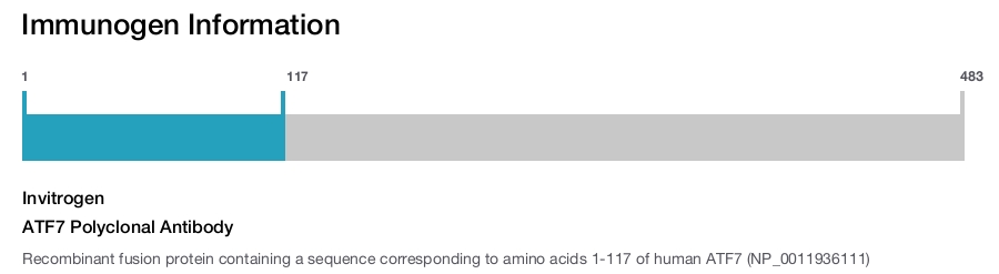ATF7 Polyclonal Antibody