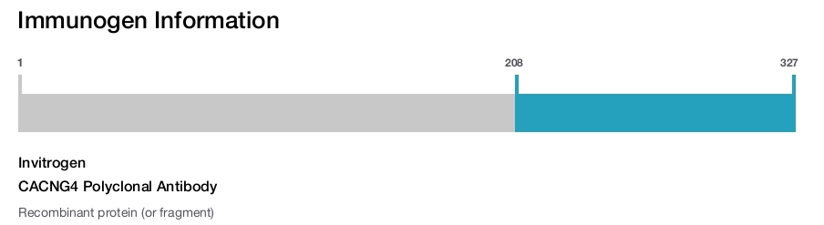 CACNG4 Polyclonal Antibody