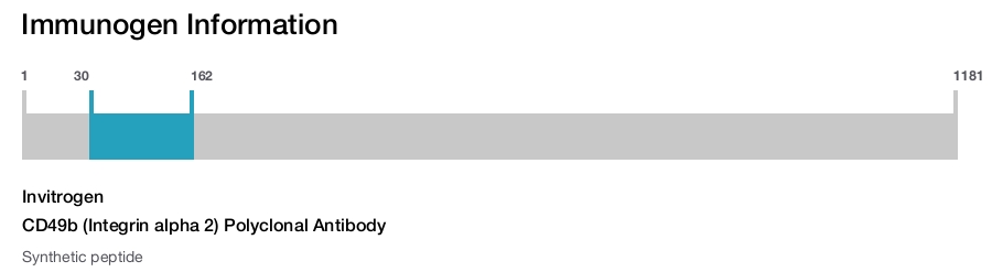 CD49b (Integrin alpha 2) Polyclonal Antibody