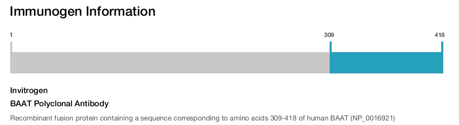 BAAT Polyclonal Antibody