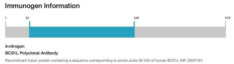 BCS1L Polyclonal Antibody