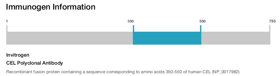 CEL Polyclonal Antibody