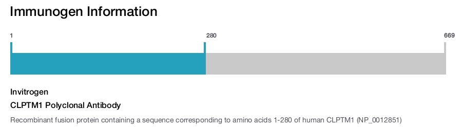 CLPTM1 Polyclonal Antibody