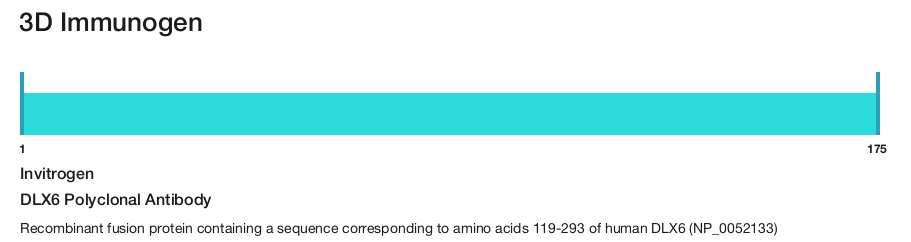DLX6 Polyclonal Antibody