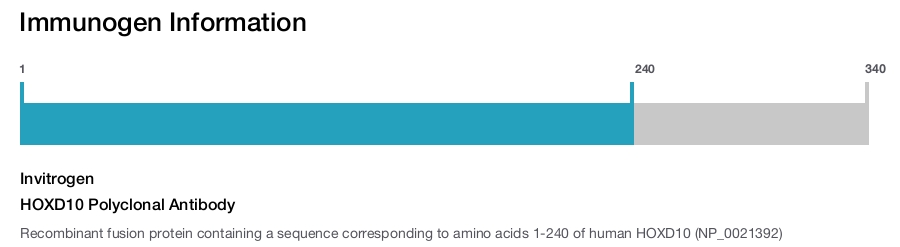 HOXD10 Polyclonal Antibody