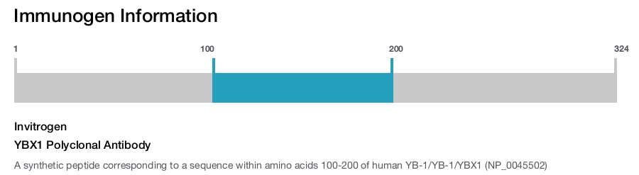 YBX1 Polyclonal Antibody