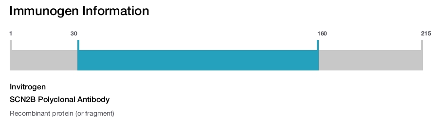 SCN2B Polyclonal Antibody