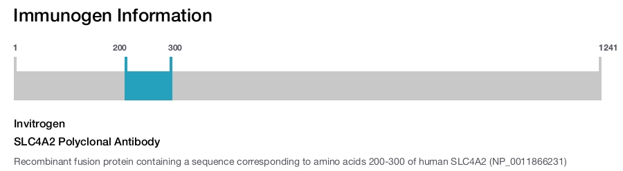 SLC4A2 Polyclonal Antibody