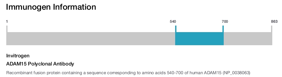 ADAM15 Polyclonal Antibody