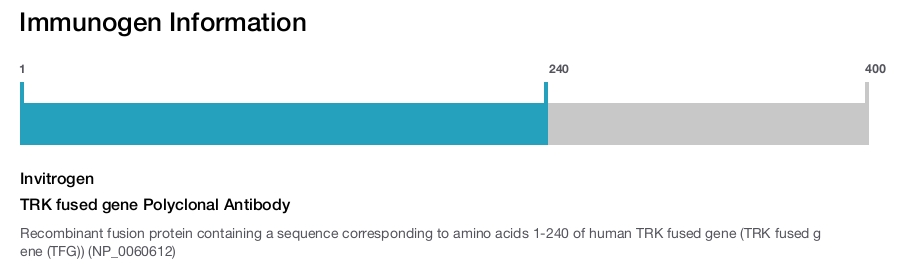 TRK fused gene Polyclonal Antibody