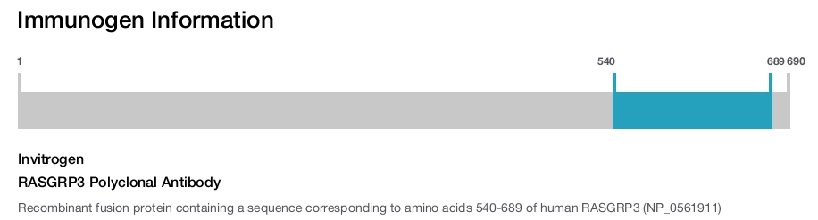 RASGRP3 Polyclonal Antibody