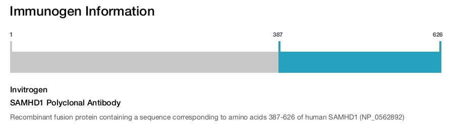 SAMHD1 Polyclonal Antibody