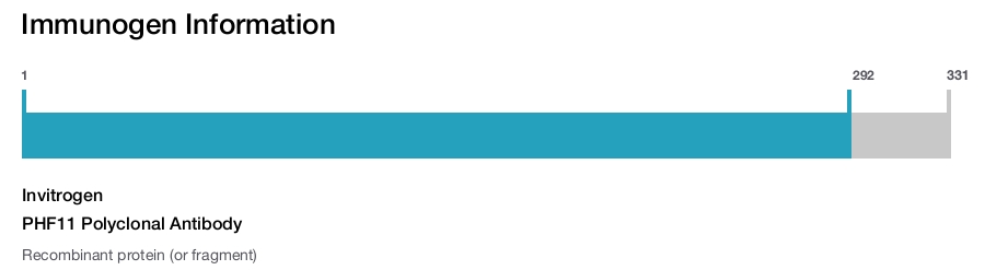 PHF11 Polyclonal Antibody