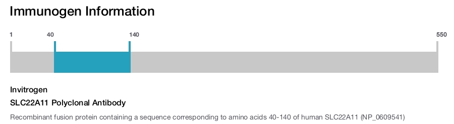 SLC22A11 Polyclonal Antibody