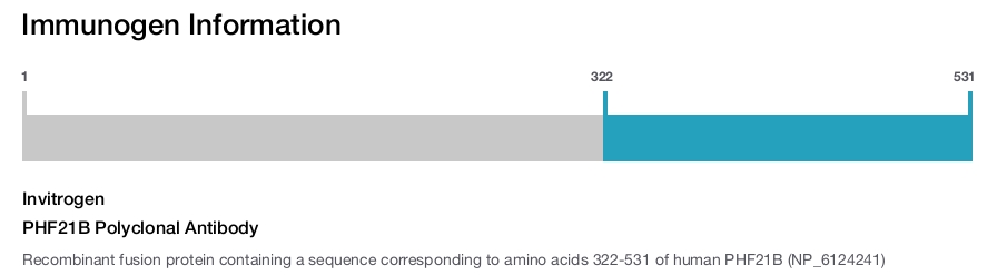 PHF21B Polyclonal Antibody