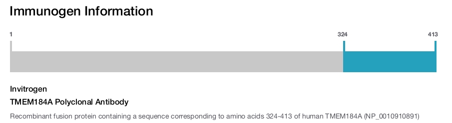 TMEM184A Polyclonal Antibody