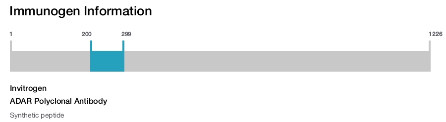 ADAR Polyclonal Antibody