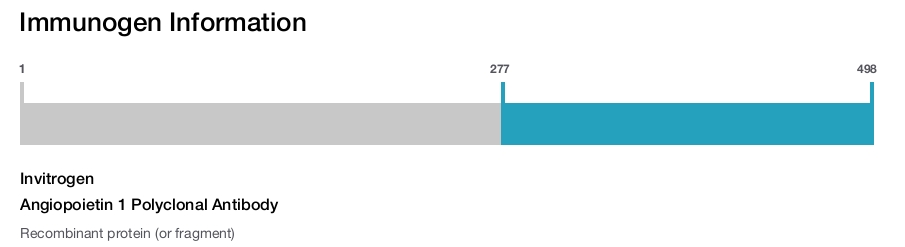 Angiopoietin 1 Polyclonal Antibody