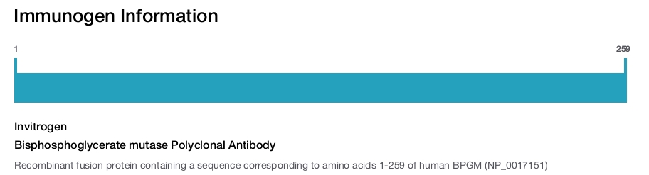 Bisphosphoglycerate mutase Polyclonal Antibody