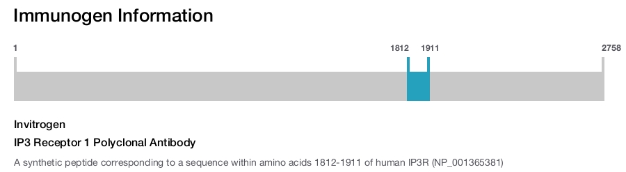 IP3 Receptor 1 Polyclonal Antibody