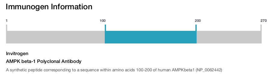 AMPK beta-1 Polyclonal Antibody