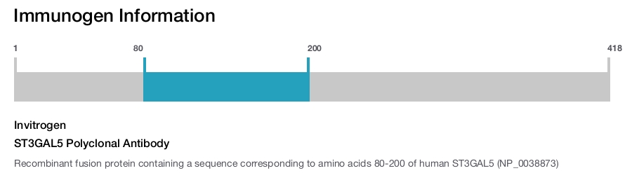 ST3GAL5 Polyclonal Antibody