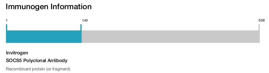 SOCS5 Polyclonal Antibody