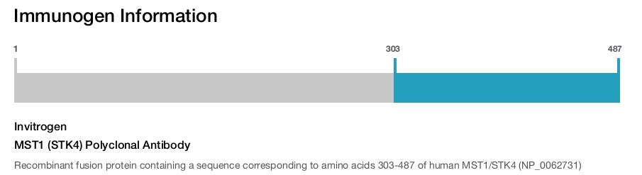 MST1 (STK4) Polyclonal Antibody