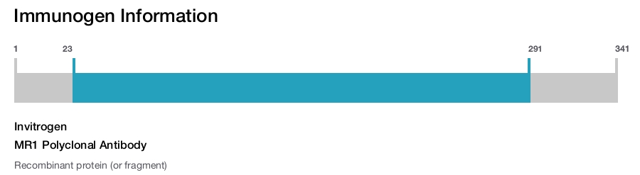 MR1 Polyclonal Antibody