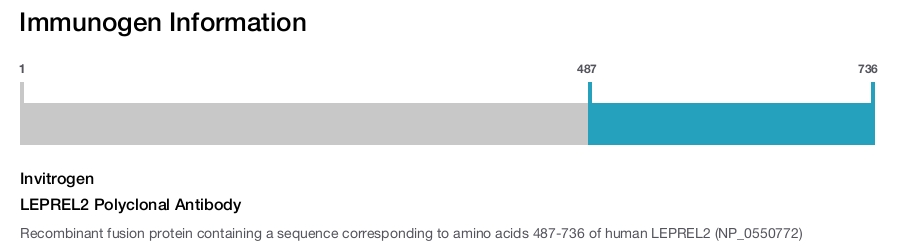 LEPREL2 Polyclonal Antibody