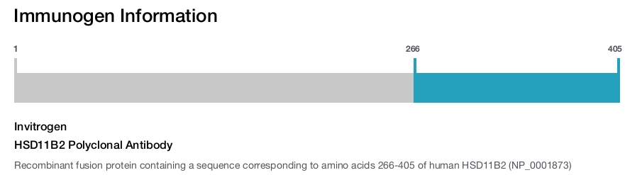 HSD11B2 Polyclonal Antibody